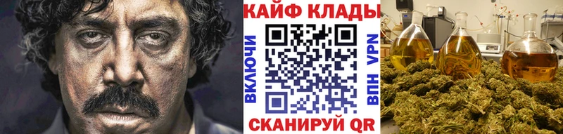 Где можно купить наркотики Губкин A PVP МЕФ ТГК Кокаин