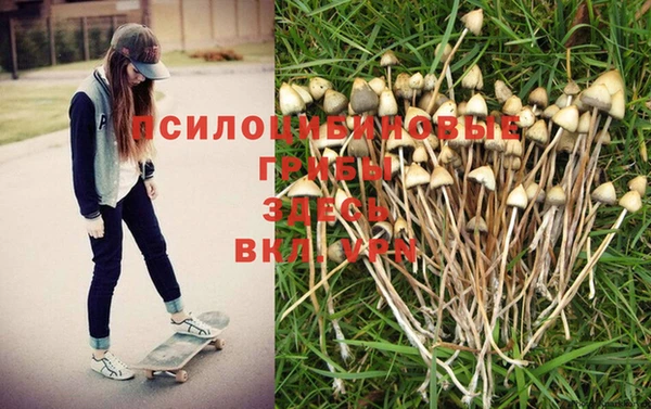 марки nbome Балабаново